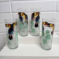 Full set of four toucan print glasses front view