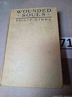 Front cover of tan cloth hardcover showing title and author