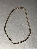 Entire necklace coiled showing clasp and chain style
