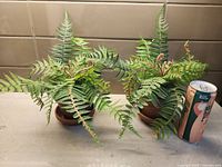 Two artificial fern plants in pots beside a drink can for scale