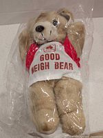 Front view of sealed tan teddy bear with Good Neigh Bear shirt