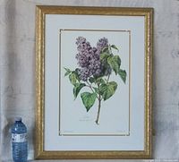Full view of framed lilac print beside water bottle for scale