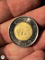 Reverse showing polar bear design and CANADA 2 DOLLARS legend