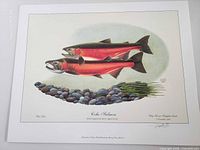 Coho Salmon print showing two salmon over pebbles