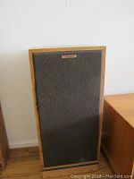 Front view of one speaker with black cloth grille