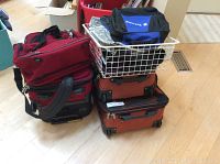 Three Swiss Gear soft luggage pieces in red alongside three Skyway hard luggage pieces in orange and black, with a white wire basket containing casual bags stacked on top.