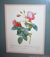 Close-up photo of one framed floral print featuring a pink rose with green leaves, text below the illustration.