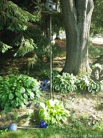 Full view of birdhouse on metal post surrounded by garden plants and various garden decor items including blue flower stakes and solar globe lights.