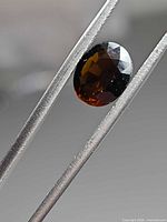 Oval faceted whiskey orange tourmaline held in tweezers