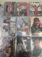 Full view of nine sleeved NASCAR Top Ten trading cards