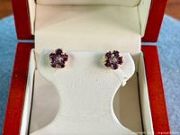 Frontal view of both earrings in box showing stone arrangement