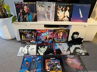 Overall view of all fifteen LP sleeves standing and laid out