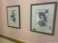 Both framed prints on wall