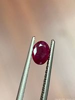 Front view of oval ruby held by tweezers