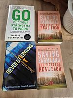 Front covers of all four books showing titles and authors