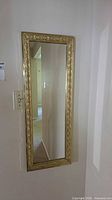 front view of gold ornate full-length mirror mounted on wall
