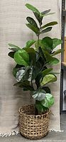 Full view of faux plant in basket