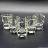 Front view showing all five clear etched shot glasses