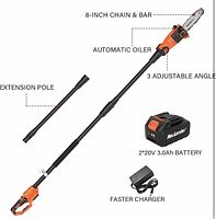 Full view of pole saw showing 8-inch bar, extension pole and battery pack