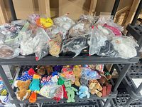 Overall view of shelf with plastic-bagged and loose Ty Beanie Babies