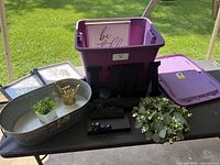 Overall lot on table showing tote, tray, plants, letters, lid
