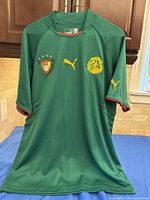 Front view of green Cameroon Puma jersey with badges and logos visible