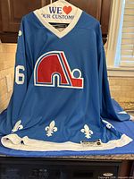 Front view of blue Quebec Nordiques jersey with logo, number on sleeve and fleur-de-lis hem