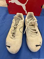 Top view of both shoes showing laces, toe logos, original box backdrop