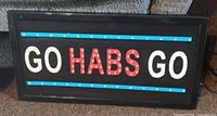 Front view of illuminated sign showing graphics and housing