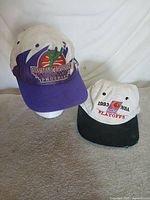 Both snapback hats front view