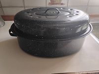 Roaster assembled with lid on showing overall appearance