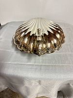 Closed view of scallop shell covered serving dish