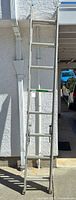 Full view of extended aluminum ladder leaning against wall
