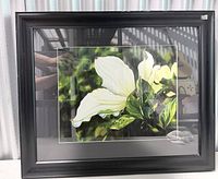 Front view of framed print showing artwork, frame and glazing