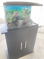 Full view of aquarium on stand