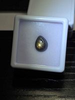Pear-shaped black star sapphire in display box showing star effect