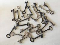 Photo showing full spread of 24 assorted antique keys on white background