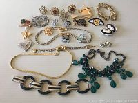Full lot of costume jewellery showing all brooches, necklaces, bracelets, rings, and earrings in a single image.