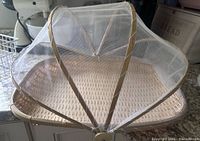 Wicker tray with mesh food cover fully open