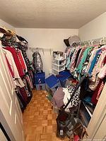Overall view of closet with clothing on rails, storage bins and accessories
