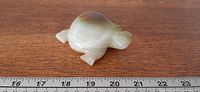 Side view of onyx turtle showing length against ruler