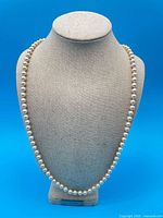 Full view of cream pearl necklace displayed on bust