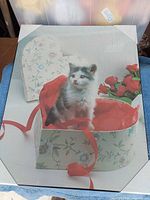Front view of kitten picture showing full image and edges