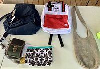Group shot of all five bags and pouch