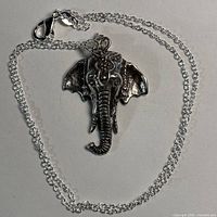 Pendant with chain displayed