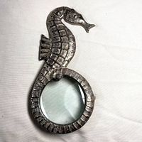 Full view of seahorse magnifying glass