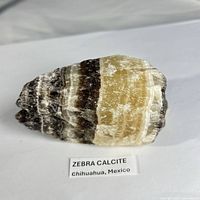zebra calcite front view with label