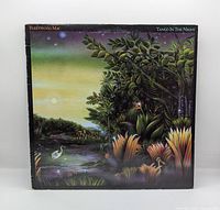 Front jacket art of Fleetwood Mac Tango In The Night LP