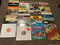 Full layout of 30+ LPs showing mix of artists and two white-sleeved records