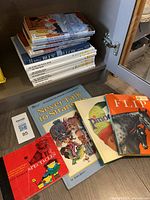Overview of cabinet shelf showing assorted laid-out picture books and stack of others